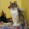 Отзыв от Наталия Лапина